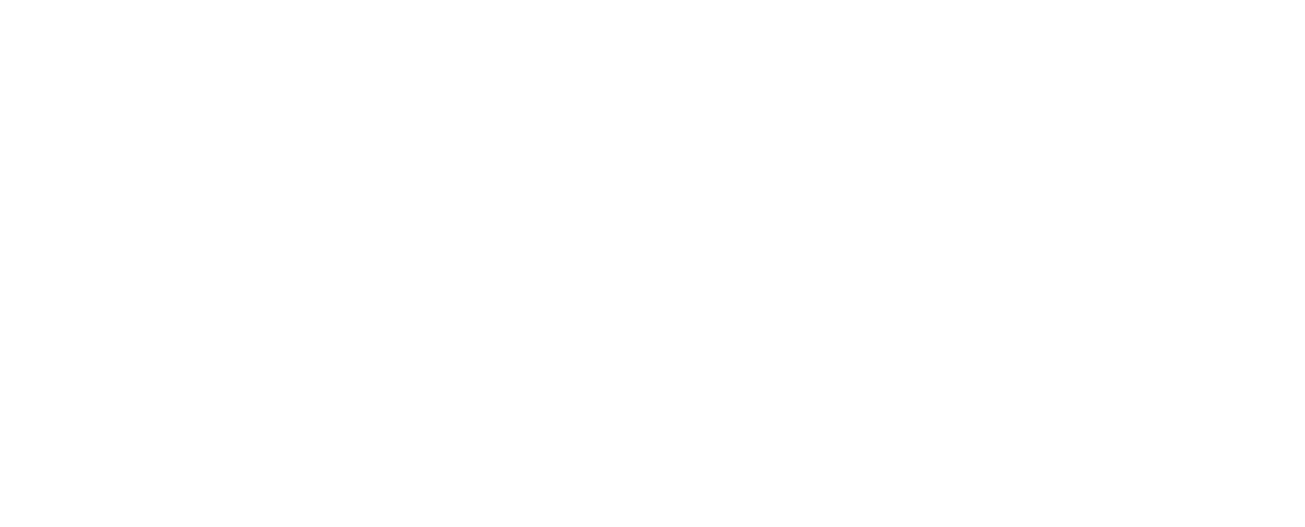 Carica Consulting